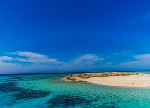 ЗАПОВЕДНИК ХАМАТА В МАРСА АЛАМ