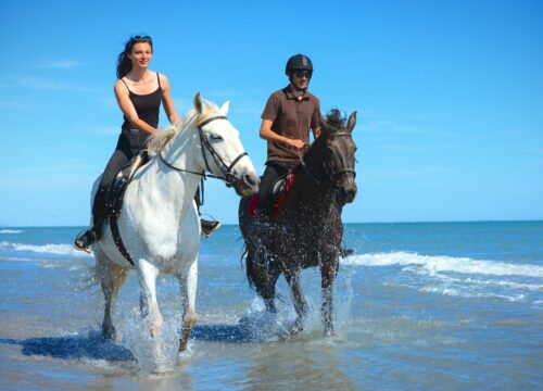 Верхом на лошади в море – уникальная прогулка по пляжу