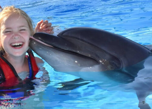 ДЕЛЬФИНАРИЙ В ШАРМ ЭЛЬ ШЕЙХЕ