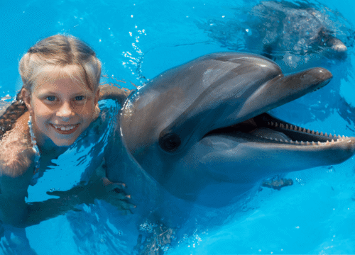 ПЛАВАНИЕ С ДЕЛЬФИНАМИ