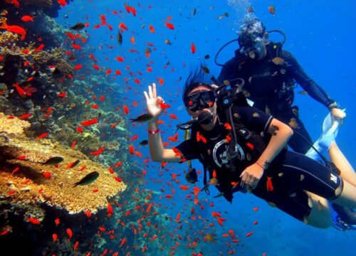 ДАЙВИНГ С БЕРЕГА