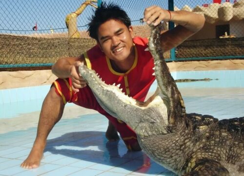 ШОУ КРОКОДИЛОВ И ЗМЕЙ
