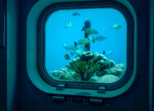 Приключение на мини-подлодке