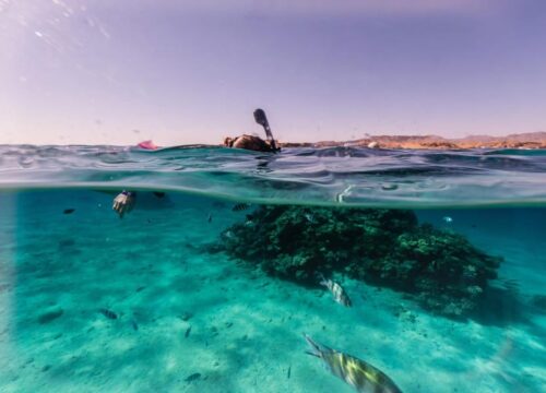 Командные выезды и тимбилдинги на море – как волны объединяют людей