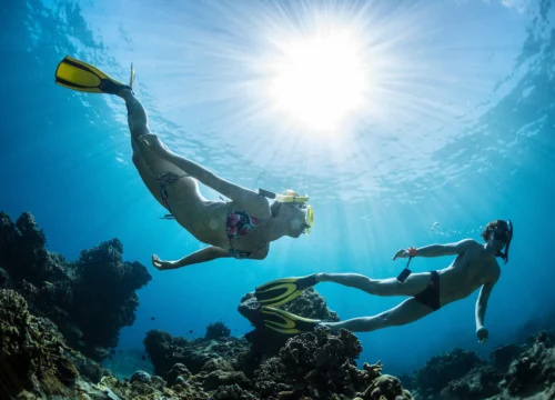 Лучшие места для снорклинга в Красном море: рифы Хургады, морская жизнь и советы для начинающих