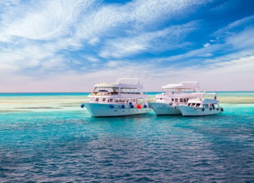 Подводная магия Хургады — кораллы, рыбы и бесконечное волшебство Красного моря