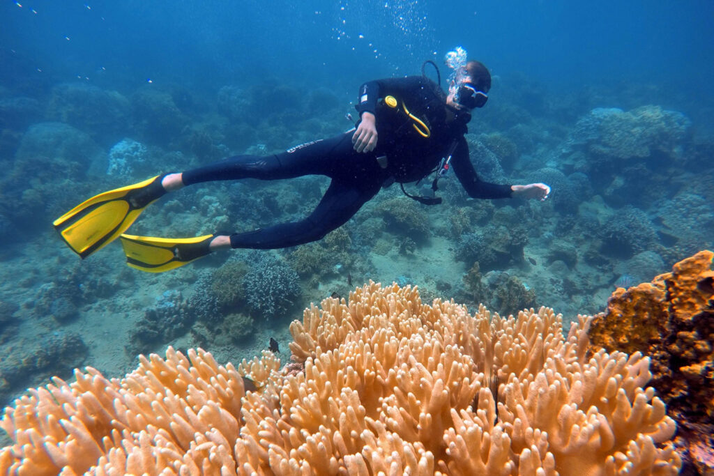 ур на Остров Дельфинов в Хургаде — семейное приключение на Красном море