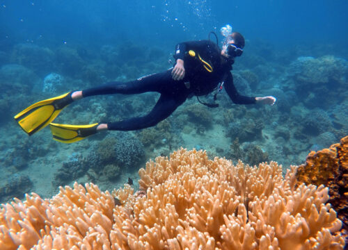 ур на Остров Дельфинов в Хургаде — семейное приключение на Красном море