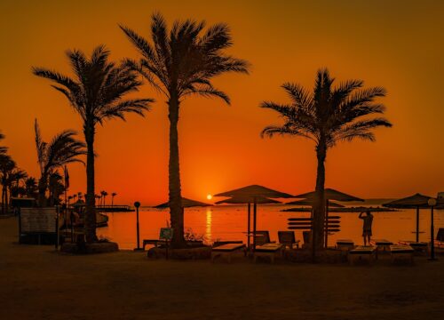 Лучшие вечерние развлечения и шоу-программы в Египте