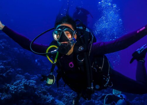 Полный гид по подводному миру: Незабываемый дайвинг в Египте