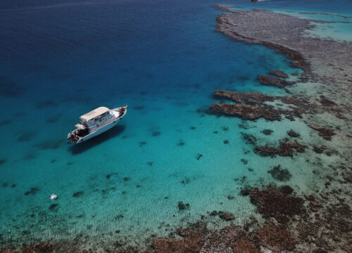 Морские приключения: круизы и рыбалка на Красном море