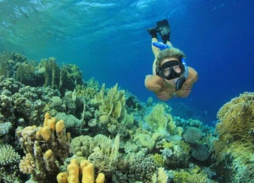 Устойчивый отдых на Красном море: эко-туризм Египта и защита коралловых рифов